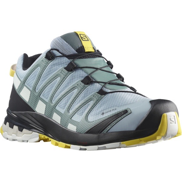 Dámské trailové boty | SALOMON Xa Pro 3D V8 GTX