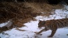 Prales dětem: Tým programu Oko Medvěda opět v terénu