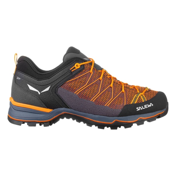 Pánské boty | Mtn trainer lite