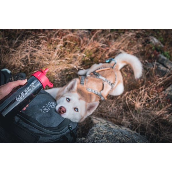 Outdoor Flasche | Springler