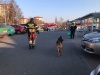 Když psi a lidé zachraňují životy 2