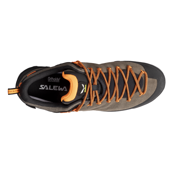 Pánské boty | Wildfire leather GTX