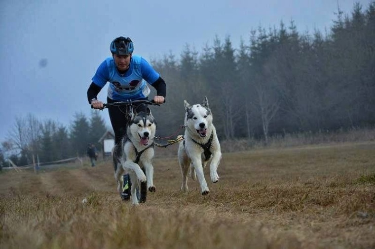 ME v mushingu off Snow_Abertamy 2018