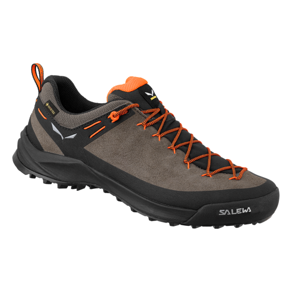 Pánské boty | Wildfire leather GTX