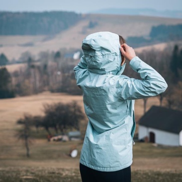 Míša 