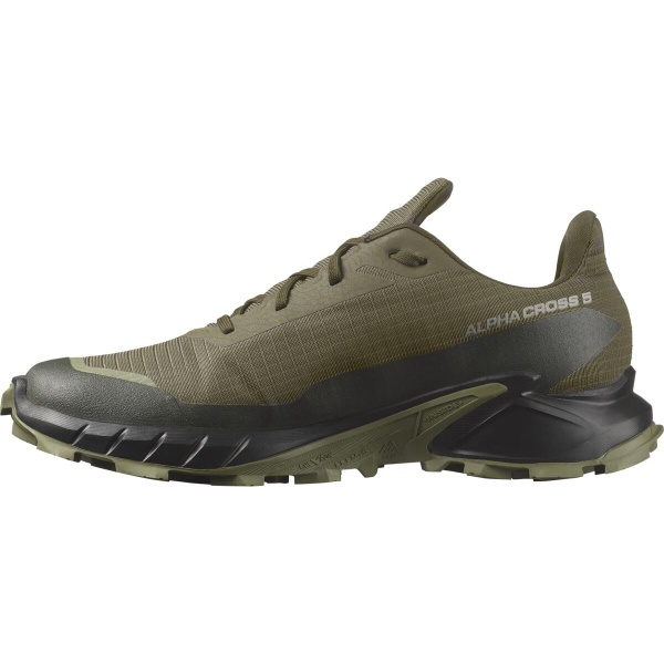 Herrenschuhe | Alphacross 5 GTX