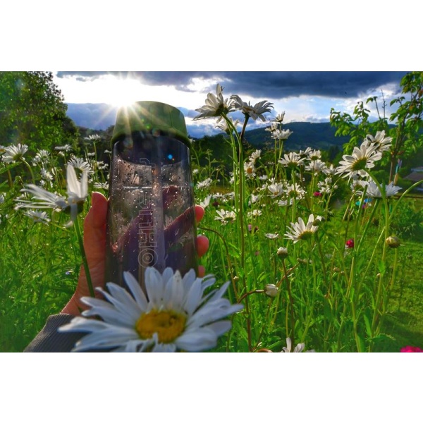 Outdoor palack | Springler