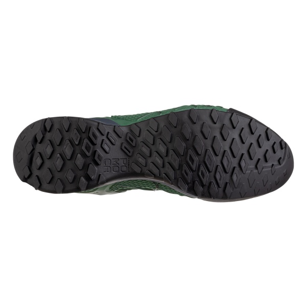 Pánské boty | Wildfire GTX