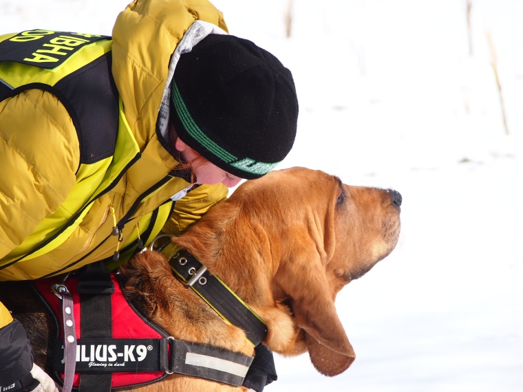 Husky pomáhá: po stopách hrdinů