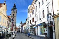 Husky shop - České Budějovice