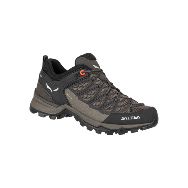 Damenschuhe | Mtn trainer lite GTX