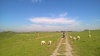 Delta Laba-Elberadweg_2016