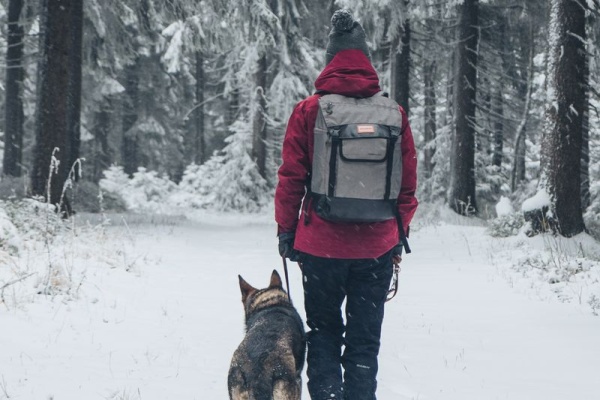 Městský batoh | Robber 25l