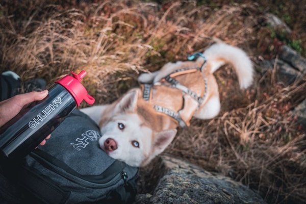 Outdoorová láhev|Springler