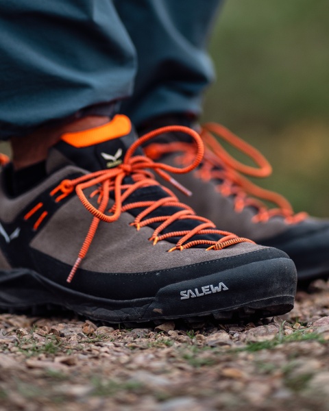 Pánské boty | Wildfire leather GTX
