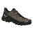 Pánské trekové boty | SALEWA Alp trainer 2 GTX