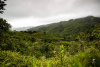 Prales dětem: monitoring jaguárů na Kostarice