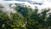 Prales dětem: ochrana přírody magické Kostariky
