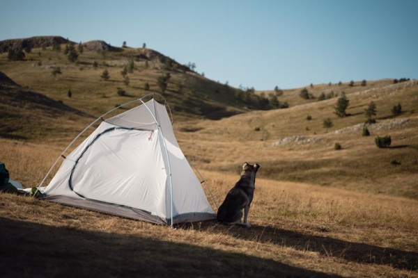 Stan Ultralight | Sawaj Camel 2